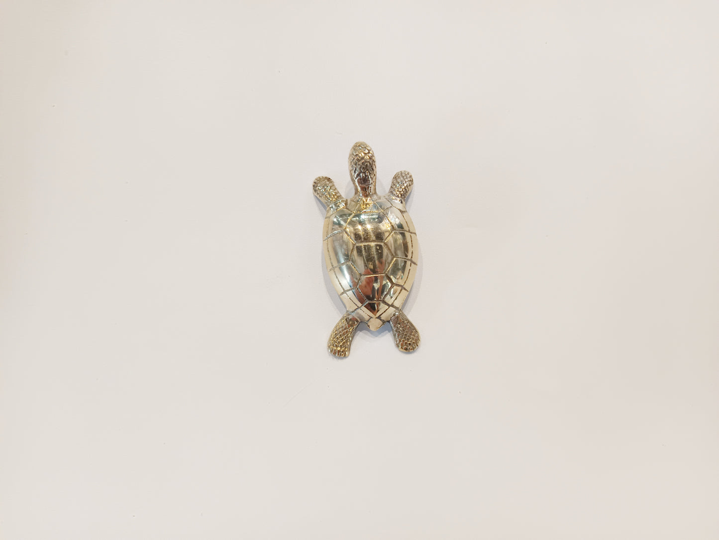 Turtle brass bottle opener, antique brass tortoise cap opener