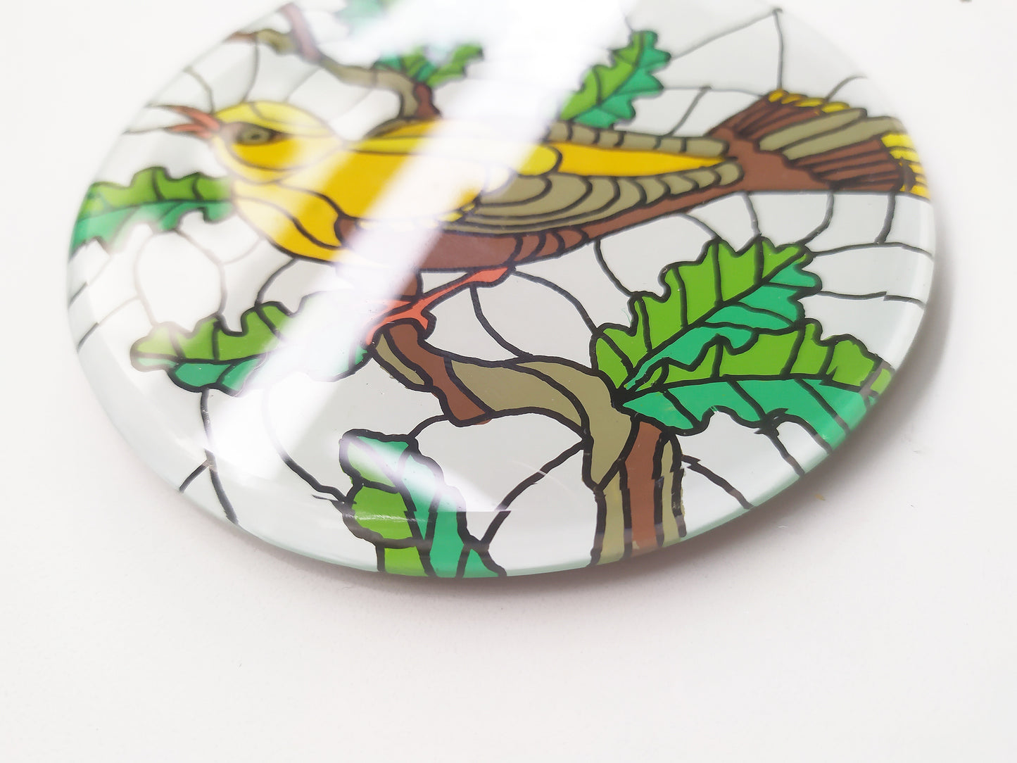 Hand painted Yellow tanager round mirror coaster , zoomed for details
