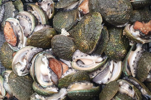 Reasons Why Abalone is so Expensive