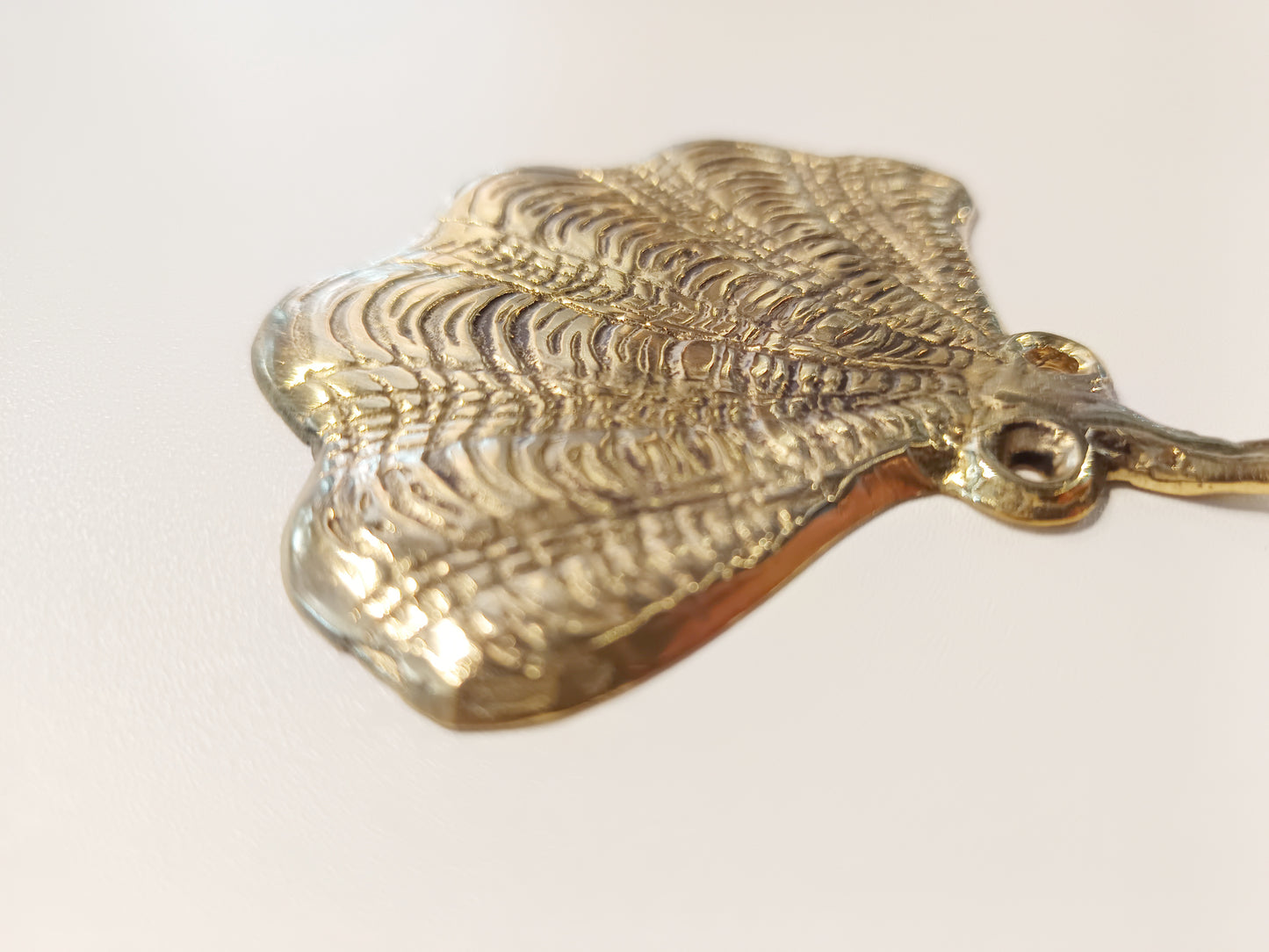 Flat clam brass wall hook, antique brass flat seashell coat rack