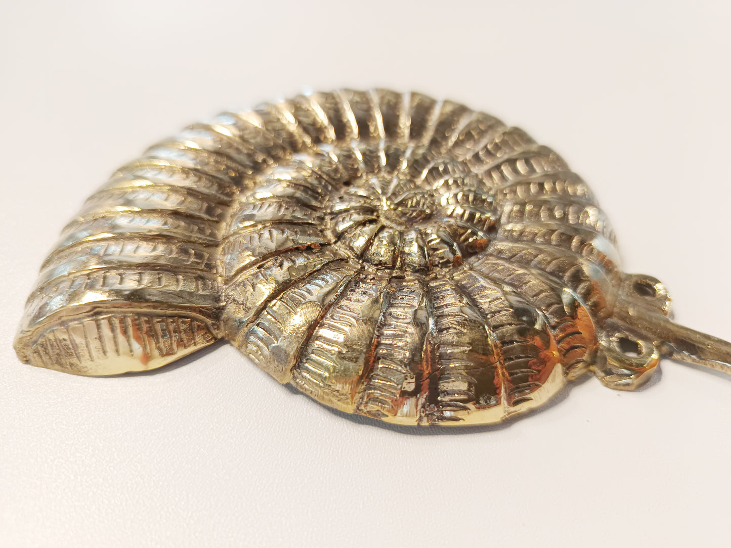 Ammonite brass wall hook, antique brass seashell coat rack