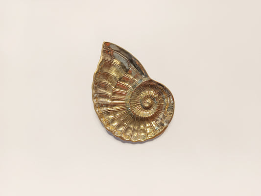 Ammonite shell face brass ring dish, antique brass trinket plate