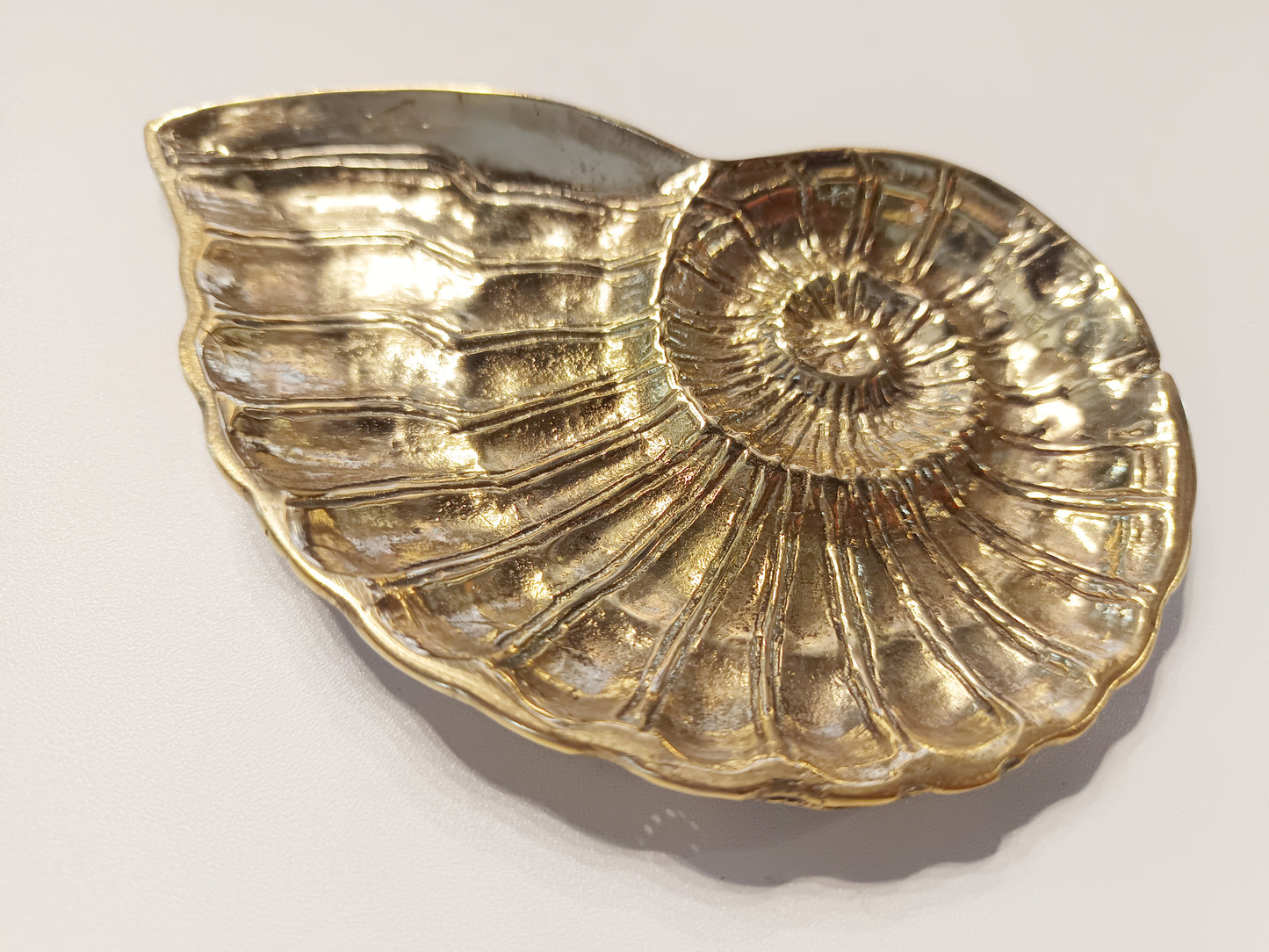 Ammonite shell face brass ring dish, antique brass trinket plate