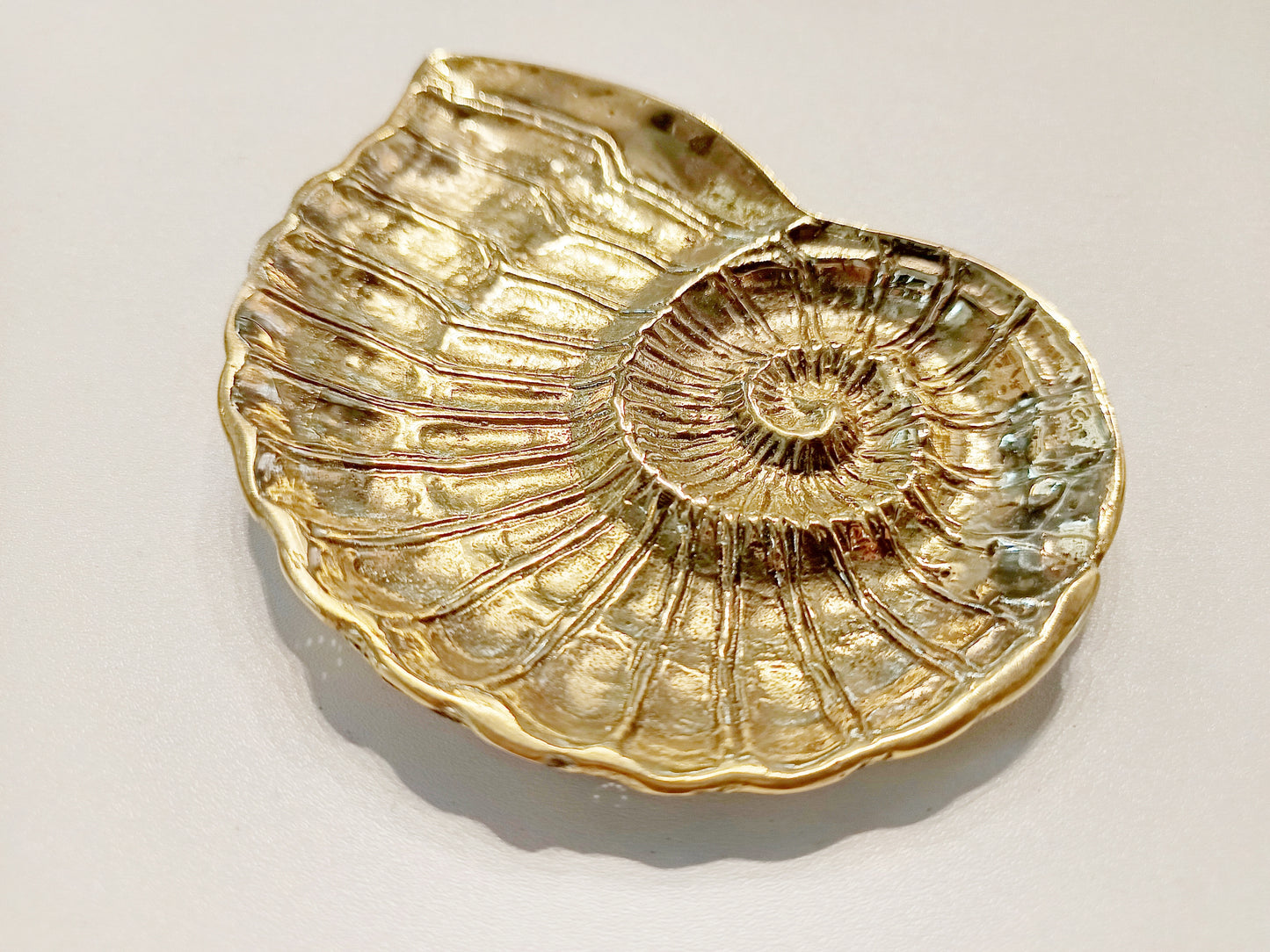 Ammonite shell face brass ring dish, antique brass trinket plate