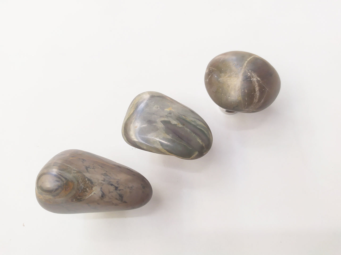 Sea Stone Zebra Pattern Knob - River Stone Natural Cabinet Knob , set of 2