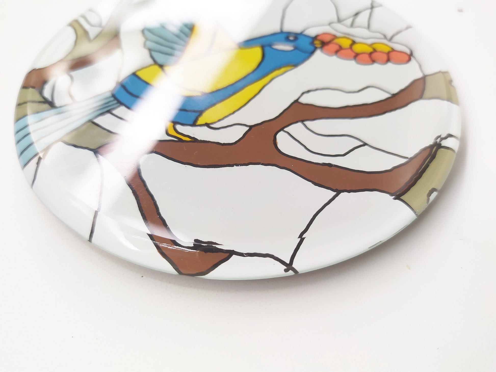 Mirror and glass hand painted bird coaster , zoomed for details