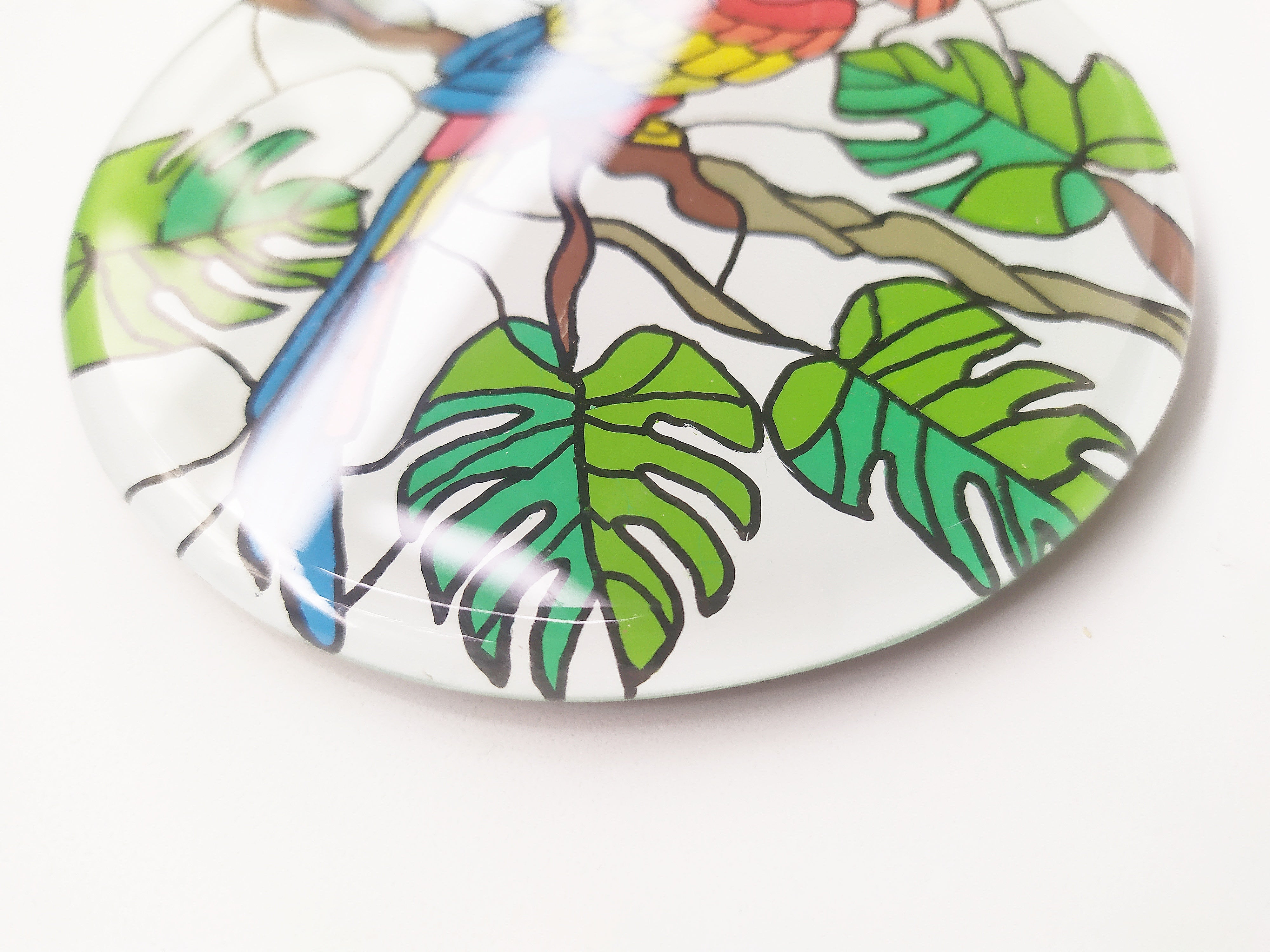 Hand Painted Colorful Parrot round on  branch mirror coaster , zoomed for details